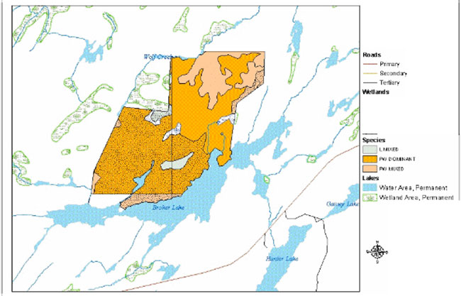 Map of attlee conservation reserve species composition.