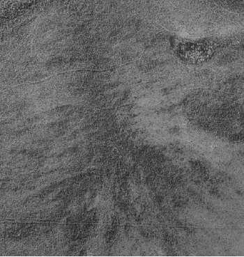 Aerial photograph of raised bog feature in Sifton Township Conservation Reserve.
