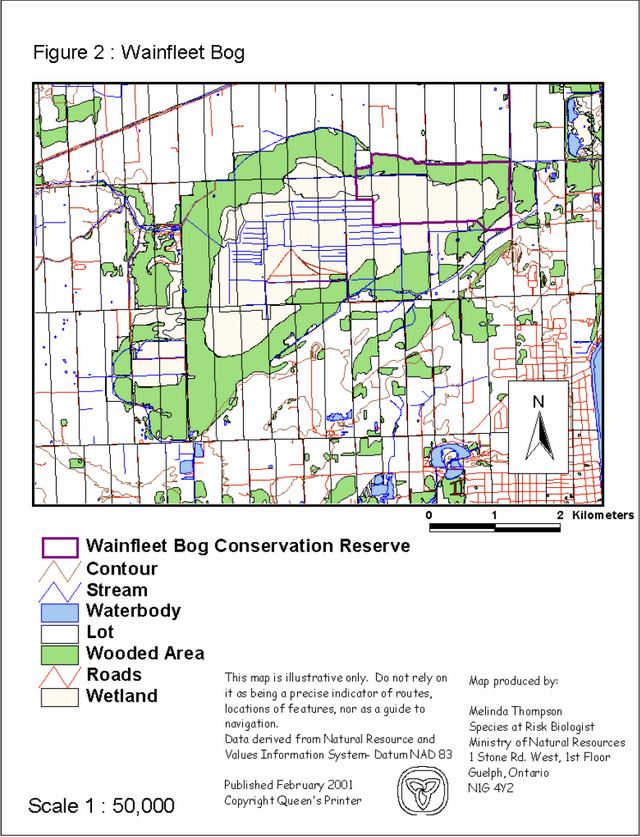 Colour map indicates reserce boundaries with purple line. Countour is indicated with thin brown line. Streams are indicated with thin blue lines. QWaterbodies are shaded light blue, lots are white outlined in black, wooded areas are shaded greeb, Roads are indicated with thin red lines and wetlands are extremely light green.